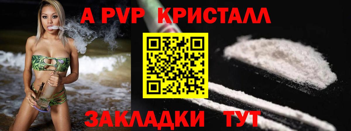 A PVP СК КРИС Богородицк