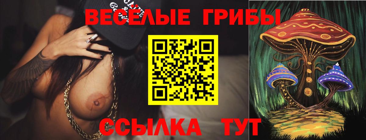 что такое   Псилоцибиновые грибы Psilocybine cubensis  Вход с VPN  Богородицк 